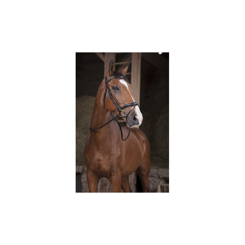 Rênes NORTON PRO - Supergrip