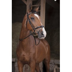 Rênes NORTON PRO - Supergrip