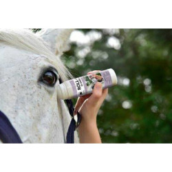 Roll-On du Maréchal