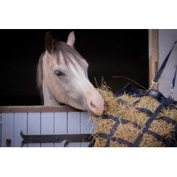 Filet à foin PADDOCK