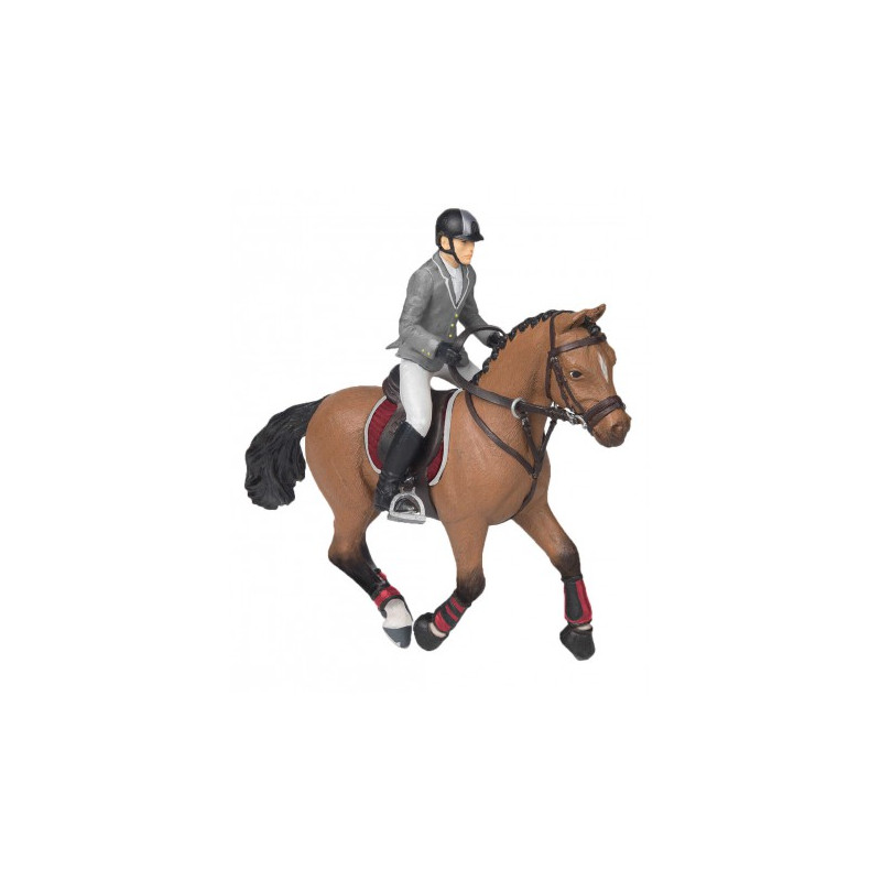 Cheval concours & cavalier PAPO