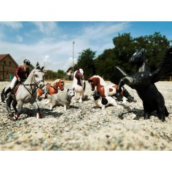 Cheval de concours et sa cavalière PAPO