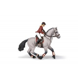 Cheval de concours et sa cavalière PAPO