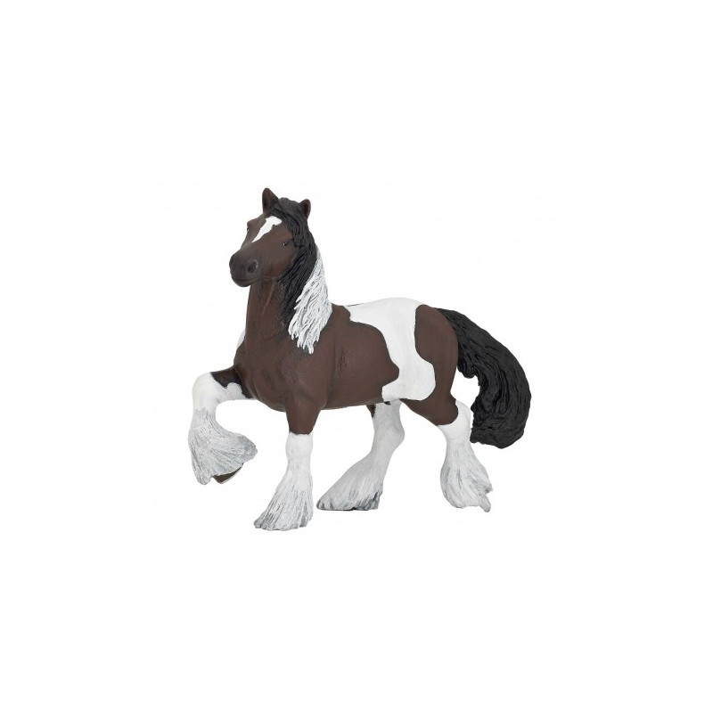 Cob irlandais bai PAPO