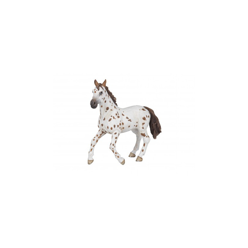 Jument Appaloosa PAPO