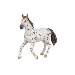 Jument Appaloosa PAPO