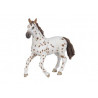 Jument Appaloosa PAPO