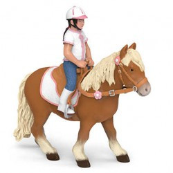 Poney shetland avec selle PAPO