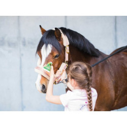 Émouchine Protec Gel RAVENE - embout mousse