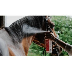 Démêlant lustrant REKOR - Show Coat