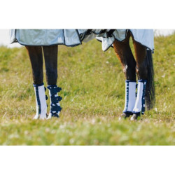 Guêtres anti-mouches RIDING WORLD x 4