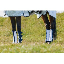Guêtres anti-mouches RIDING WORLD x 4