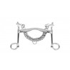 Mors de bride SPRENGER - Satinox branches longues