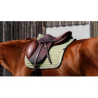 Tapis de selle mixte EQUITHEME - Spring