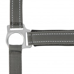 Licol NORTON - Reflective