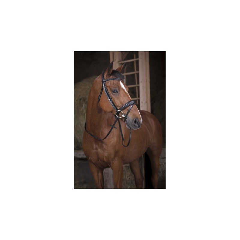 Rênes sangle NORTON PRO