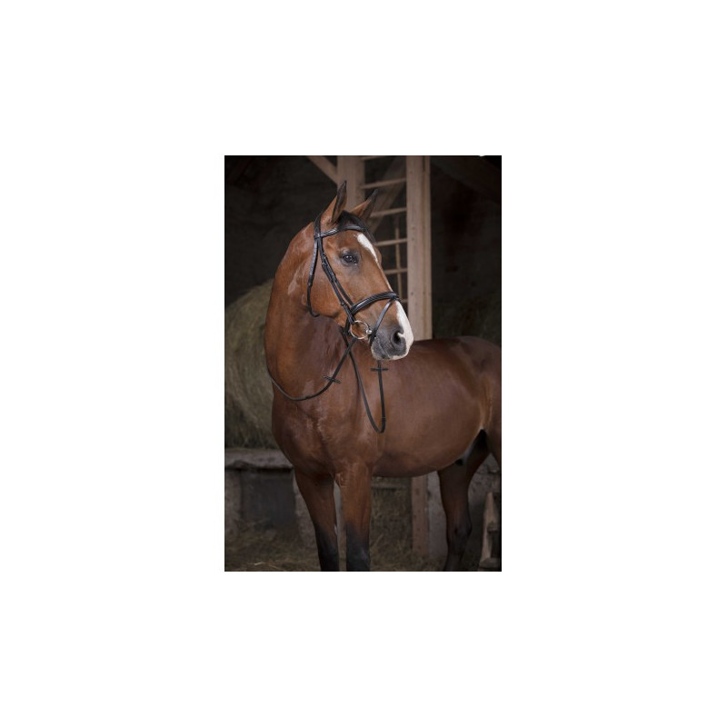 Rênes caoutchouc NORTON