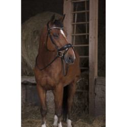 Rênes sangle NORTON PRO