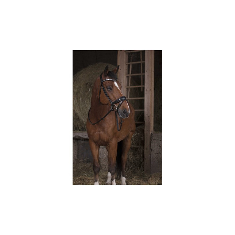 Rênes sangle NORTON PRO