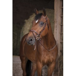 Rênes caoutchouc NORTON PRO - GP