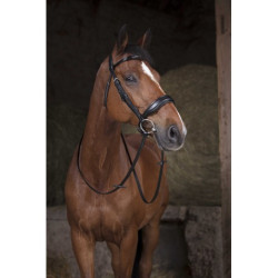 Rênes de filet NORTON PRO - 16 mm