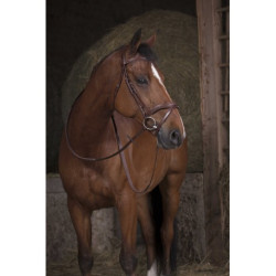 Rênes caoutchouc large NORTON PRO