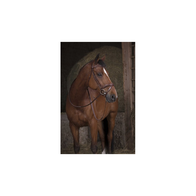 Rênes caoutchouc large NORTON PRO