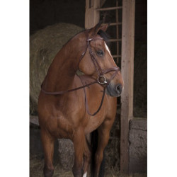 Rênes caoutchouc large NORTON PRO