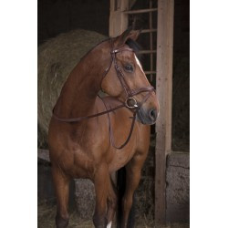 Rênes caoutchouc large NORTON PRO