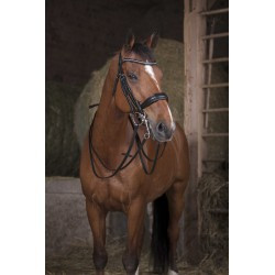 Rênes de bride NORTON PRO - 13 mm