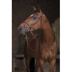 Rênes Hunter NORTON PRO - 16 mm