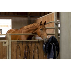 Porte-bride HIPPOTONIC 6 places, à crochets