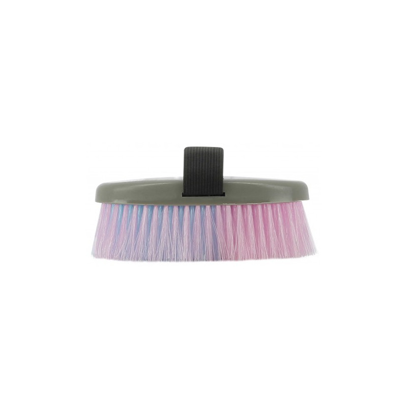 Brosses HIPPOTONIC multicolor