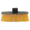 Brosses HIPPOTONIC multicolor