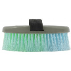 Brosses HIPPOTONIC multicolor