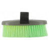 Brosses HIPPOTONIC multicolor
