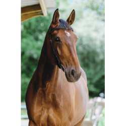 Bridon NORTON PRO - Freedom