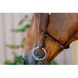 Bridon NORTON PRO - Freedom