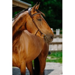 Bridon NORTON PRO - Freedom