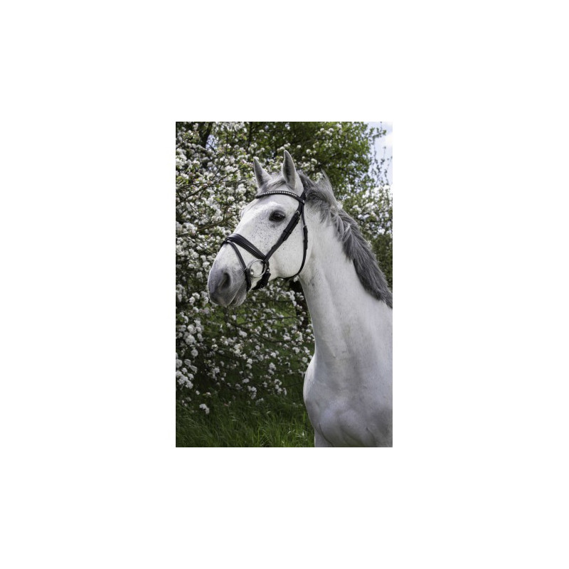 Bridon NORTON PRO - Strass