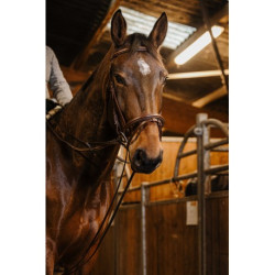 Rênes allemande sangle NORTON PRO - 13mm