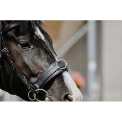 Caveçon large NORTON CLUB