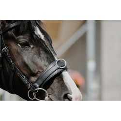 Caveçon large NORTON CLUB