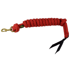 Longe polytresse gros diamètre