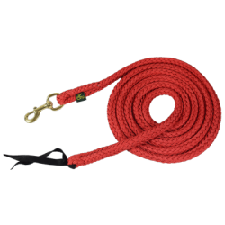 Longe éthologique avec mouqueton à tirette