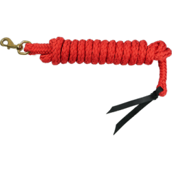 Longe éthologique avec mouqueton à tirette