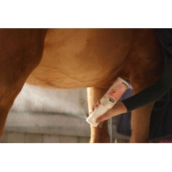 Recharge pour soin démêlant et lustrant Ravene Easy Shine Intense