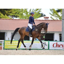 Casque NACA - Comète S - Glow