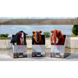 Mini-poney Robe Bai PONY ACADEMY - Prince