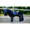 Mini-poney Robe Noire PONY ACADEMY - Eclair